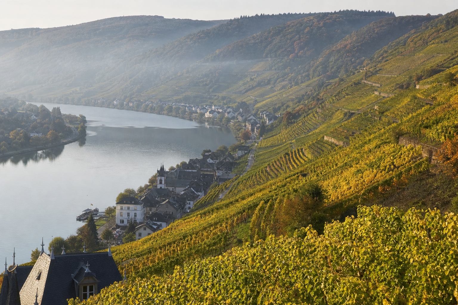 Moselschleife mit Terrassenweinbergen