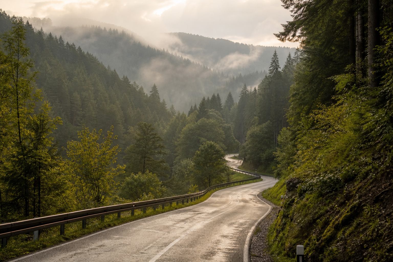Waldweg im Schwarzwald mit weichem Morgenlicht